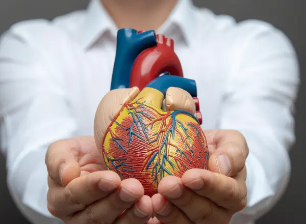 Transforming Cardiology and Cardiovascular Billing Services